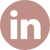 LinkedIn Icon